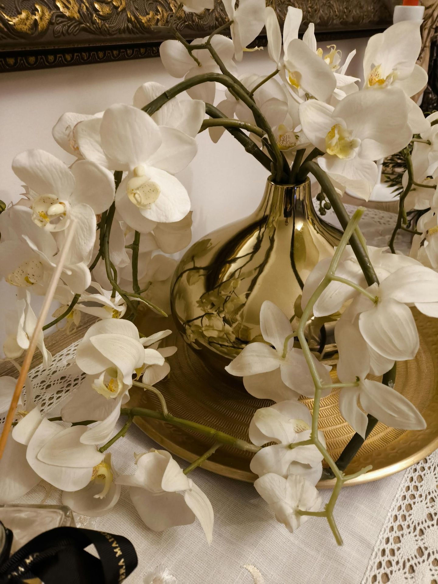 Orchidée Royale