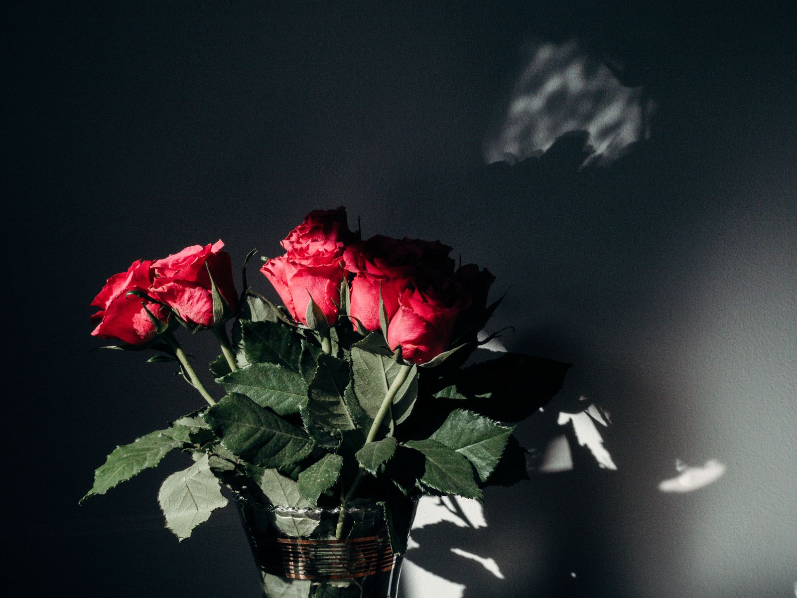 Red roses in a vase against a dark wall